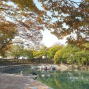 반룡마을회관 이미지