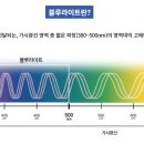 현대콘텍트렌즈 이미지