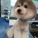 어강동물병원 이미지