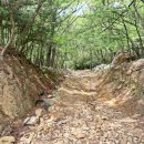 한아름 사슴 농장 이미지