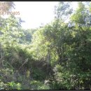 남해-139 이미지