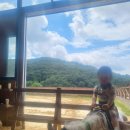 덕소 승마클럽 | 덕소승마클럽 후기