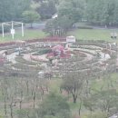 그린세무회계사무소 이미지