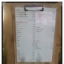 스시마리오 이미지