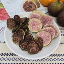 다우농장 이미지