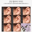 와사비네코