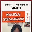 초리상회 이미지