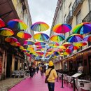 리스보아마트 이미지