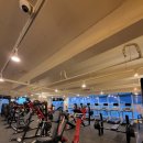 팀터틀랫 김해내외점 이미지