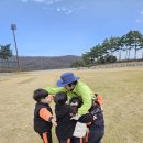 🌳마지막 숲체험과 할아버지, 할머니와 함께하는 도란도란 가을산책🍁🍂 이미지