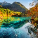 황룡택시 이미지