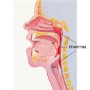 열린문가정의원 이미지