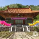 보리마을 네이버블로그