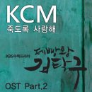 케이씨엠 KCM 이미지