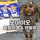 (주)우리덴탈 | 100퍼센트 국내산 원료로 만든 강아지 다이어트 사료 와 덴탈껌 오아이오 실제 급여 후기