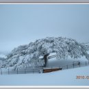 양대목장 이미지