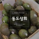 동도상회