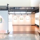 다움데일리