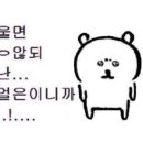 워드프로세서(실기) 자격증 이미지