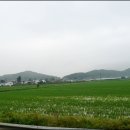 장봉주유소