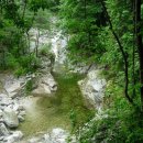 숲속의하루 이미지