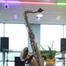 색소폰연수 이미지