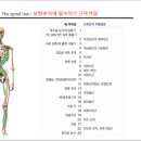 아레아필라테스 네이버블로그