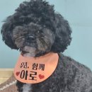 은하수지역아동센터 이미지