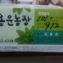 용운농장 | 히트이벤트 곰보배추김치 나에게 모욕감을 줬어~