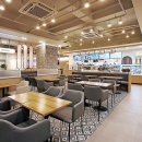 파파펫푸드 이미지