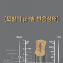 해삼살롱 이미지