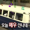 금상투어