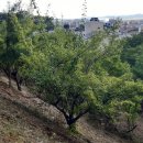 사천고등학교 이미지