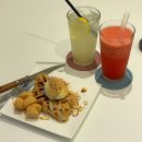 테라스가 넓은 집 | [서울/수서] 수서역 카페 넓은 테라스가 매력적인 &#39;카페 좋은날&#39; 방문 후기☕️