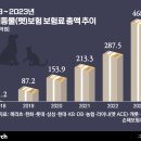 하나항공여행사주 이미지