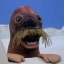 한식당수라 이미지