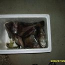 해성낚시터 이미지