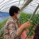 숙희농장 이미지