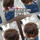 레알포토 | 천안 미용실 에이바헤어 신불당점에서 예쁘게 염색하고 온 레알 후기