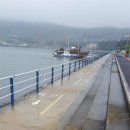 죽림2로가로수 이미지