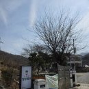 힐링캠프캠핑장 | 강화 캠핑장 추천, 조용한 산속 힐링 끝판왕 고려산 힐링캠프 솔직 후기