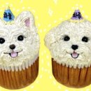 푸드포퍼피 이미지