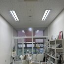 플랫피치네일 | [서울/마곡]애견동반 가능한 저렴한 네일샵 플랫피치 네일 내돈내산후기