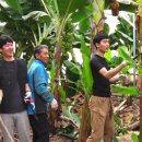 삼부자농장 이미지