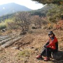 종생농장 이미지