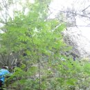 화산 마을회관 이미지