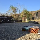 밸런스독 애견펜션 | 양평 밸런스독 독채 애견펜션, 대형견 강아지 수영장