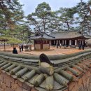 ♡*...1000만 영화에 10만 관광객…'왕사남' 흥행 따라 영월도 북적 이미지