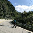 가평로/금당계곡로 | 다운힐 좋아하세요?💫 70km 내내 내리막길을 달리는 태기산 자전거 코스를 소개합니다💛