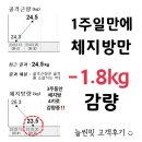 늘씬핏다이어트